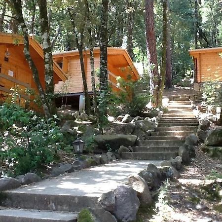 Auberge De La Foret Bonifatu Календзана Екстер'єр фото