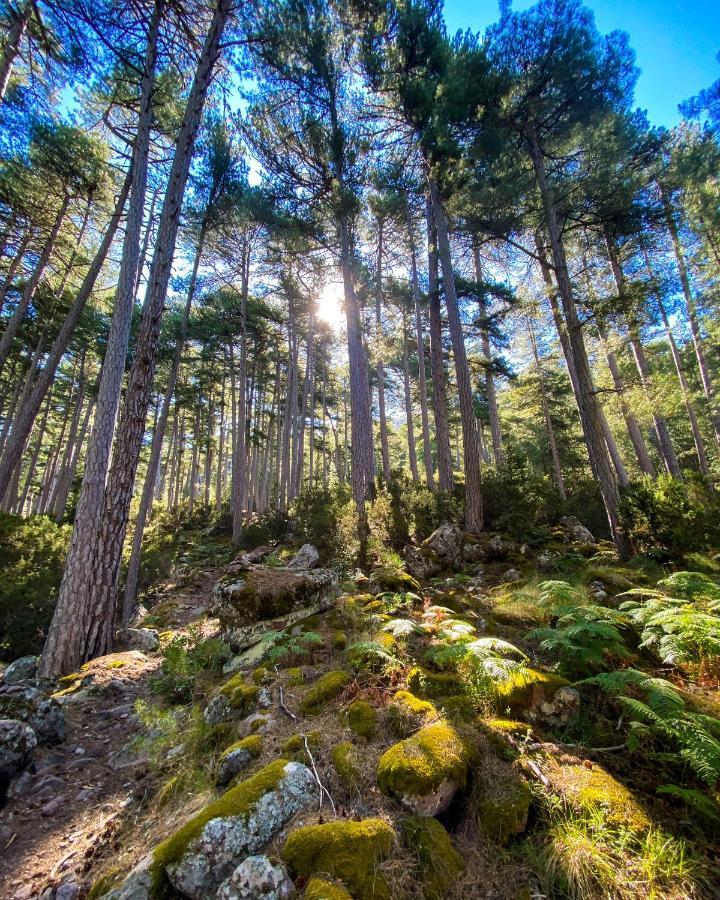 Auberge De La Foret Bonifatu Календзана Екстер'єр фото